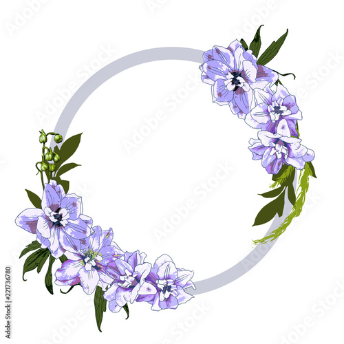 Vector isolated Delphinium flower frame