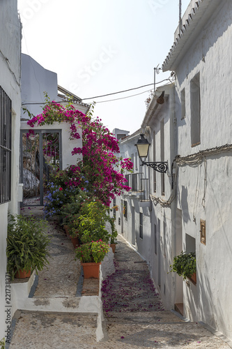 Fototapeta Naklejka Na Ścianę i Meble -  Typical Andalusian Spanish white villages