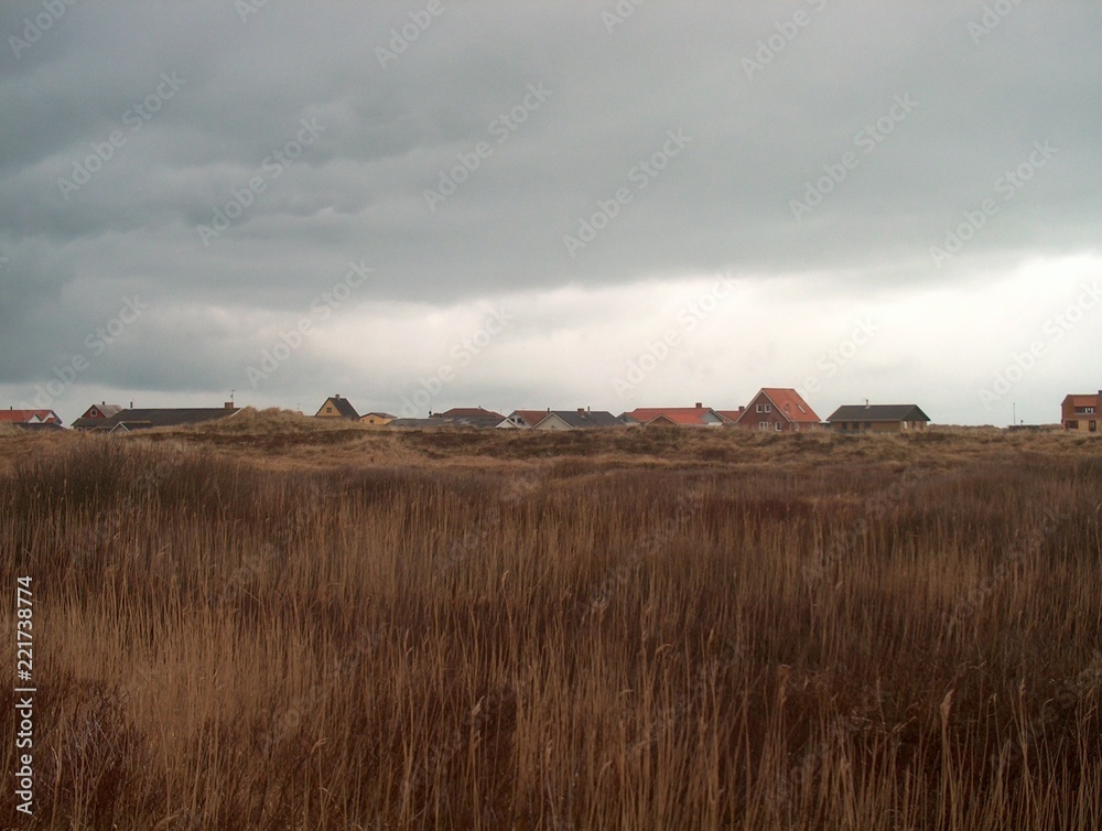 Fototapeta premium Dänemark-Jammerbucht