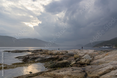 Wallpaper Mural Whale watching in Tadoussac Torontodigital.ca
