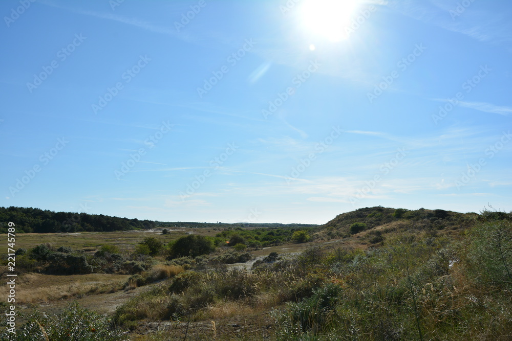 Landschaft hinter den Sanddünen an der Nordseeküste in den Niederlanden auf der Insel Schouwen-Duiveland