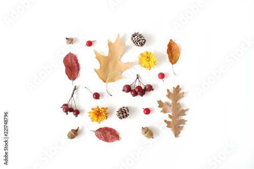 Autumn styled botanical arrangement. Composition of acorns, pine cones, colorful dried oak leaves, little apples and chrysanthemum flowers on white table background. Fall decorative concept, flat lay.