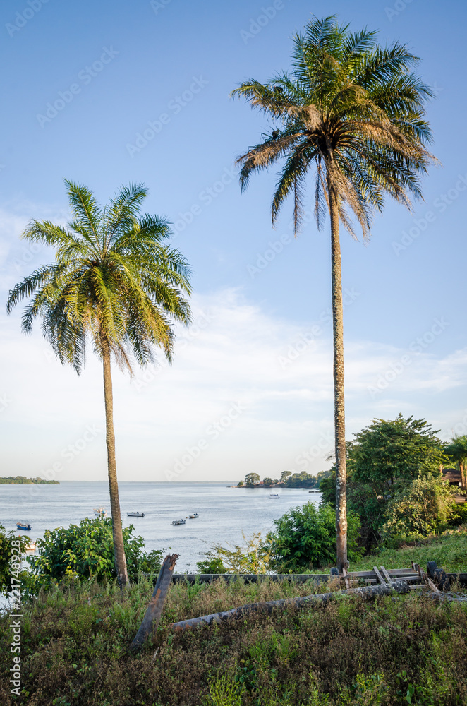 Scenic view over palm trees on tropical island Bubaque, part of the Bijagos Archipelago, Guinea Bissau, Africa