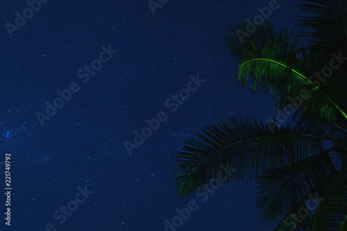 Scenic night sky with a lot of stars and palm tree © blackday