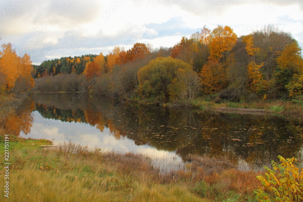 Obraz premium Beautiful picturesque autumn forest river with yellow, green and gray trees on the banks