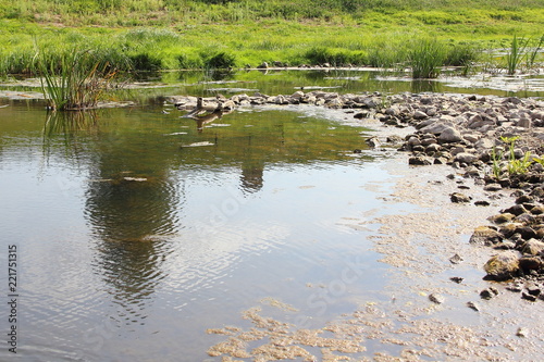 Stone dam - shallow water on a small river in the summer against the green banks