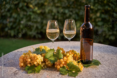 Bottle of white vine with two full vine glasses and fresh juicy and sweet grapes with vine leaves on the stone table in garden restaurant, harvesting of grapes in autumn