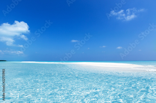Leinwand Poster Maldivian sandbank in Indian ocean