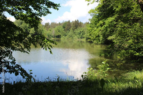  Lake surrounded by forest