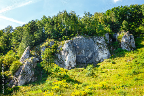 Summer landscape in Bedkowska Valley in Poland