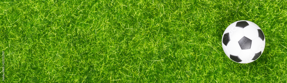 Soccer ball on green grass Soccer ball on green grass