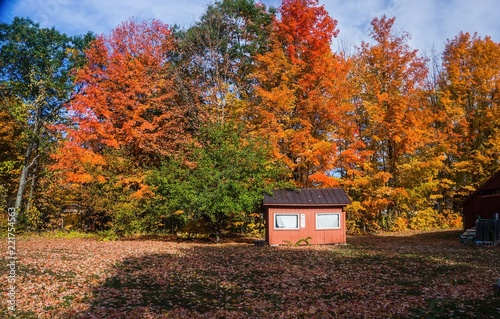 Fall in New England