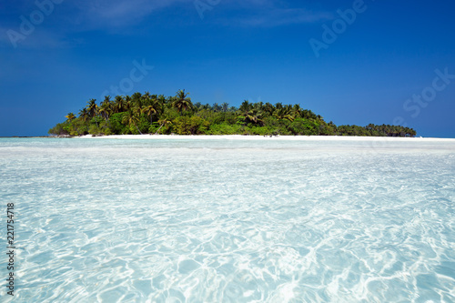 Fototapeta Naklejka Na Ścianę i Meble -  Wild Maldives island with sandy beach