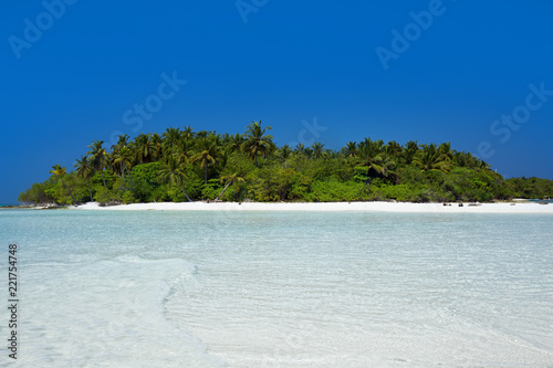 Fototapeta Naklejka Na Ścianę i Meble -  Wild Maldives island with sandy beach