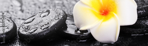 Canvas Print Plumeria flower and stones on wet black rock background