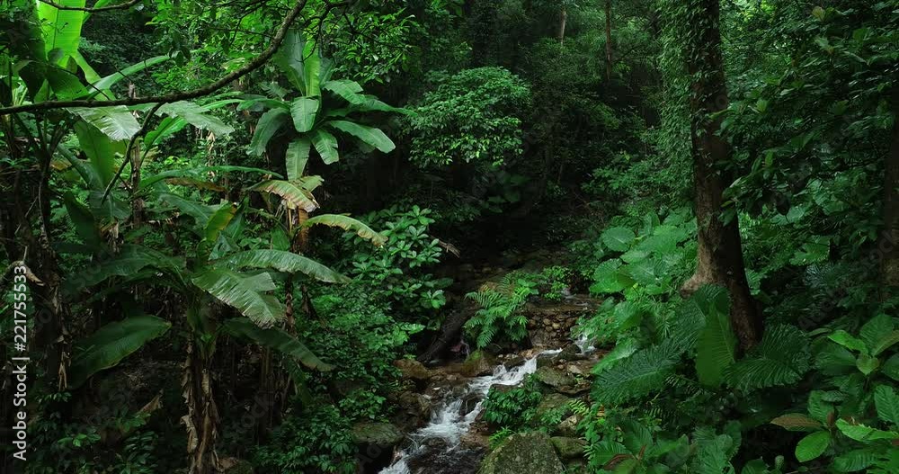 Aerial View of small Waterfall in the Tropical Rainforest Mountains Aerial View of small Waterfall in the Tropical Rainforest Mountains