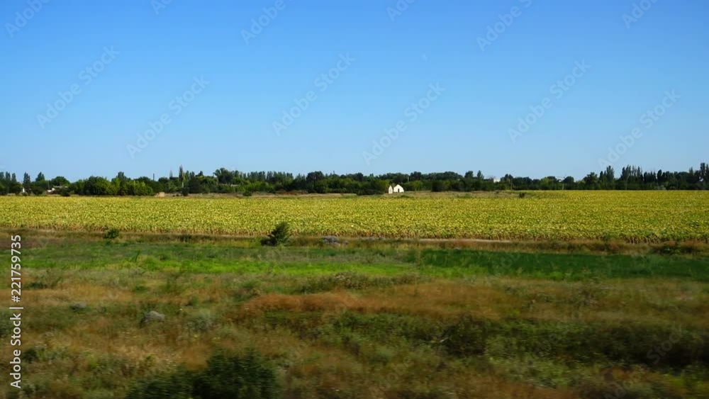 Agricultural fields. Shooting in the movement. Agricultural fields. Shooting in the movement.