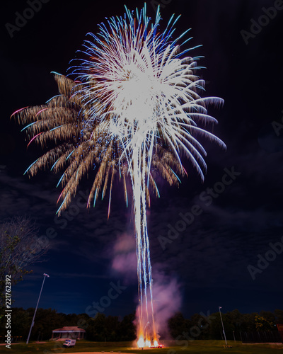 Obraz na płótnie fireworks in the sky w salonie