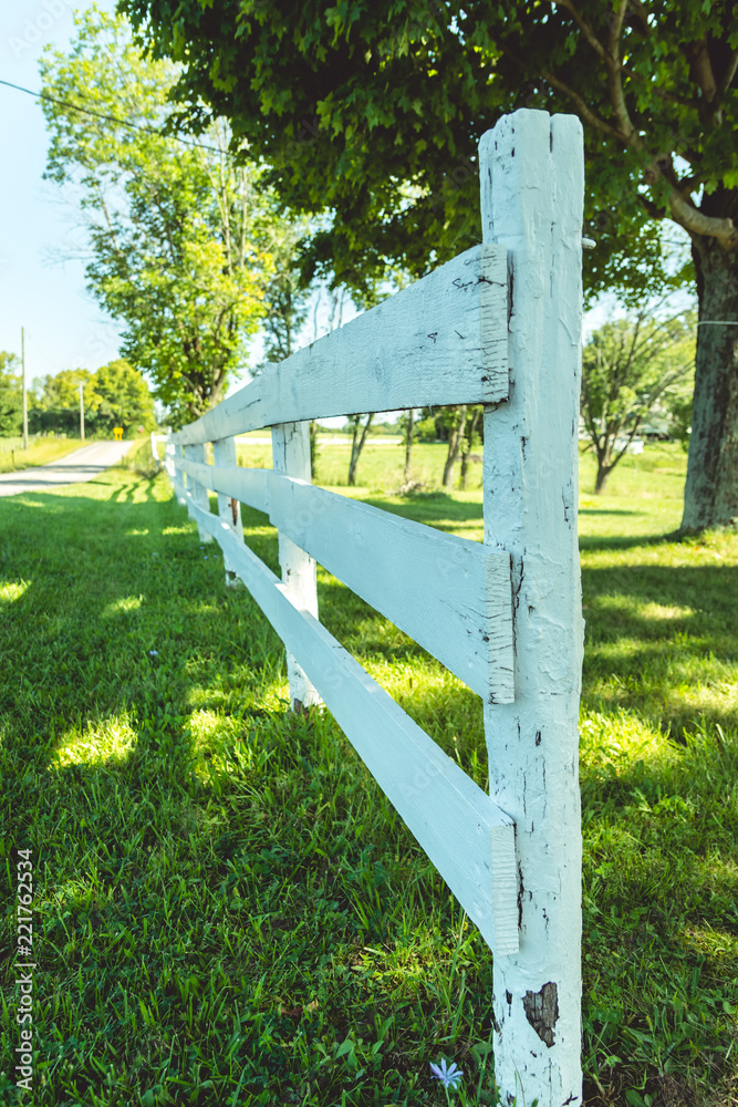 Country Fence