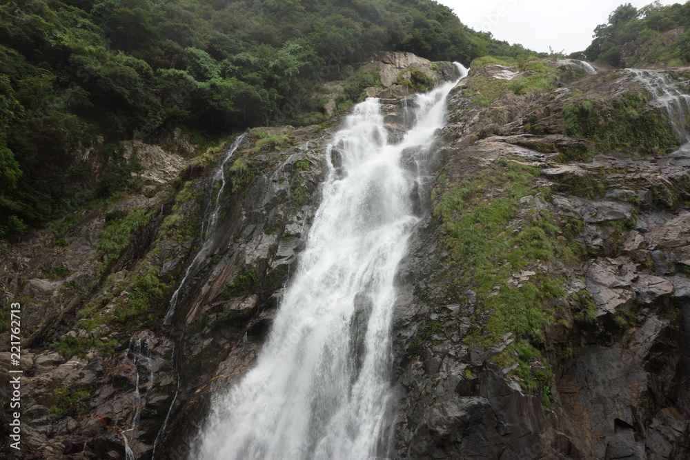 屋久島　森　滝