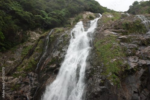 屋久島 森 滝