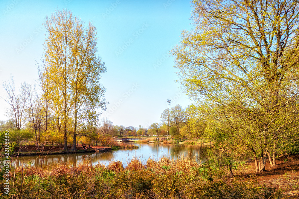 Obraz premium Urban Lagoon and Nature Preserve. Chicago, USA. Landscape.