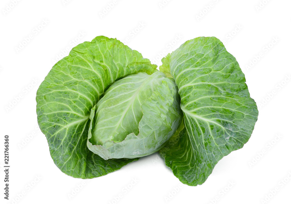 Obraz premium fresh whole green pointed cabbage isolated on white background
