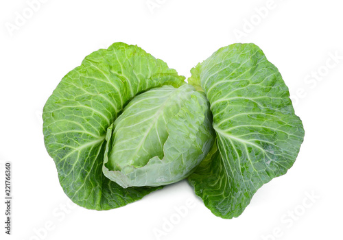 fresh whole green pointed cabbage isolated on white background