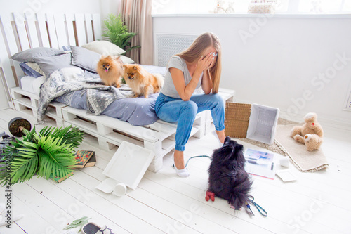 Foto dogs in the middle of mess they created at home