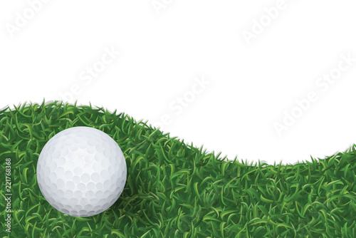 Tableau sur toile Golf ball on green grass texture background. Vector.