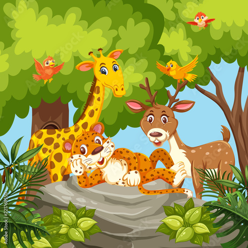 Happy animals in jungle