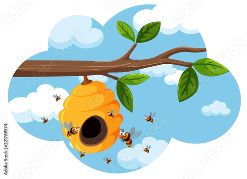 A beehive on the tree branch