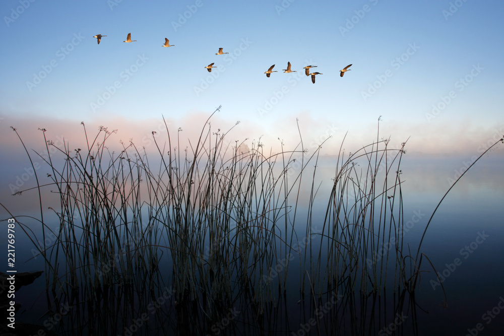 Scenic Waterfront