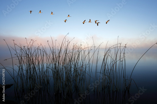 Scenic Waterfront photo