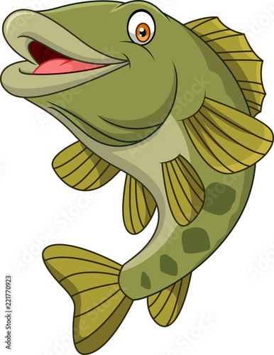 Cartoon bass fish isolated on white background