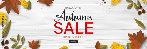 Autumn sale background with leaf for web banner and shopping promotion template.