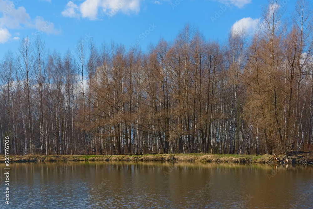 Lake and forest on the banks in early spring. Lake and forest on the banks in early spring.