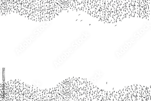A flock of bats are flying isoalted on white background