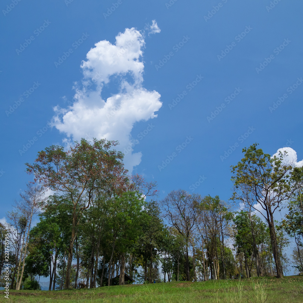 Obraz premium Tiger and sheep shaped cloud