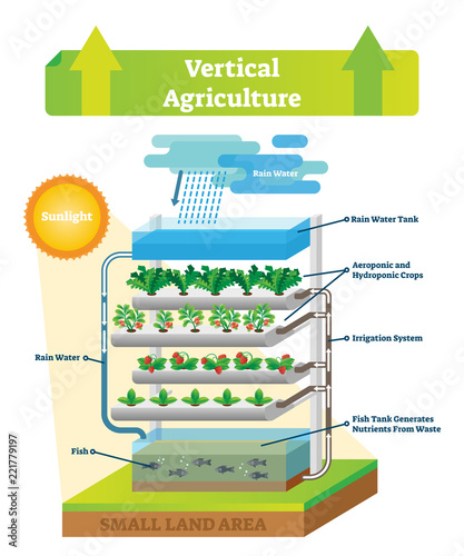 Vertical agriculture environment scheme vector illustration. Fish and soil. photo