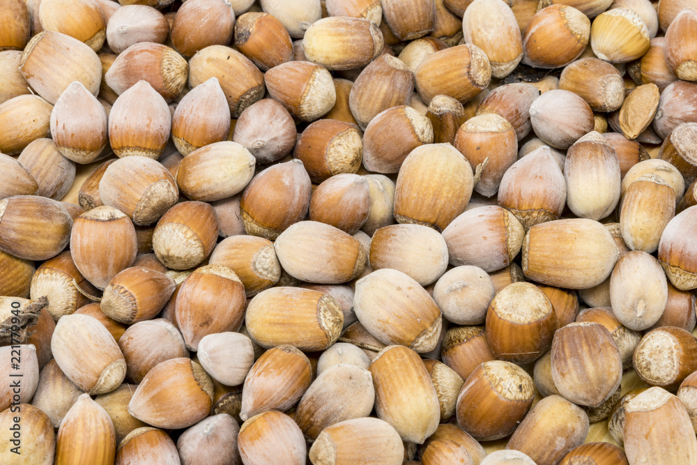 Many brown hazelnuts format filling as a background Many brown hazelnuts format filling as a background