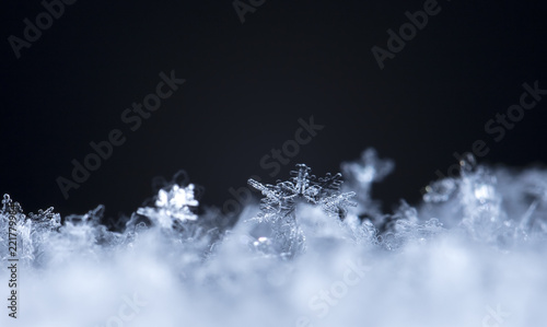 snowflake in the snow, winter