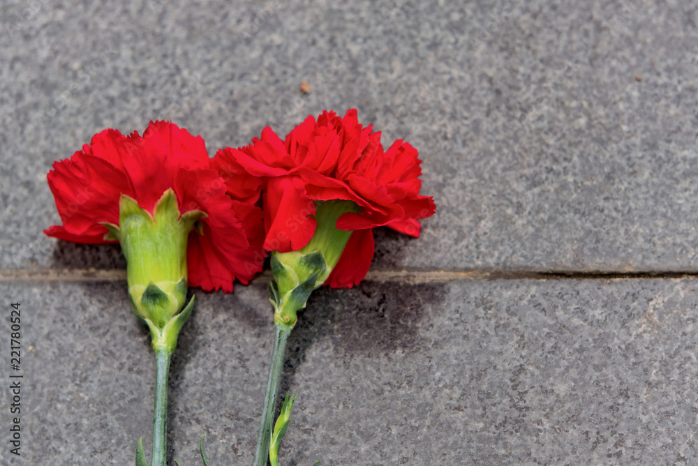 Two red carnations lie on a granite slab. Two red carnations lie on a granite slab.