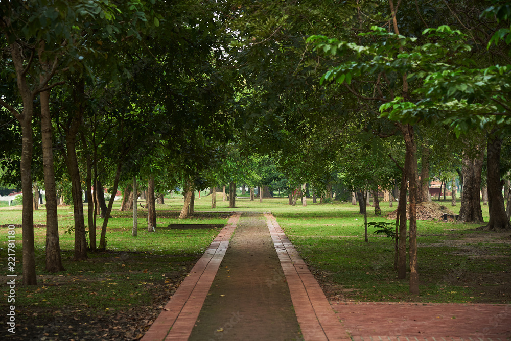 Obraz premium Walkway in the park at Ayutthaya historical park