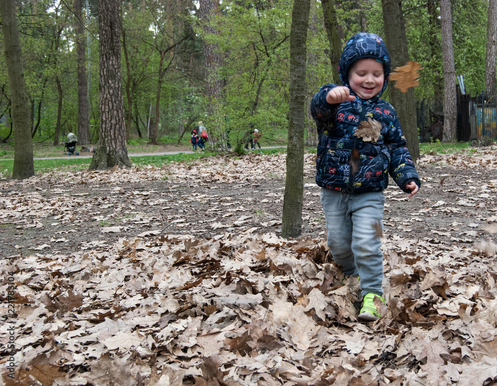 Little boy is playing with dry leaves in the park. Little boy is playing with dry leaves in the park.