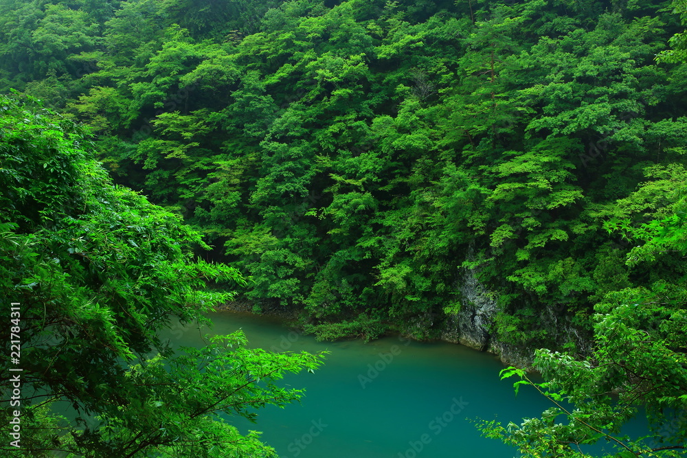 夏の抱返り渓谷