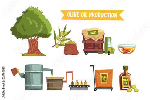 Process of olive oil production from cultivation to finished product growing tree, harvesting, sending to factory, pressing, bottling, packaging, transportation