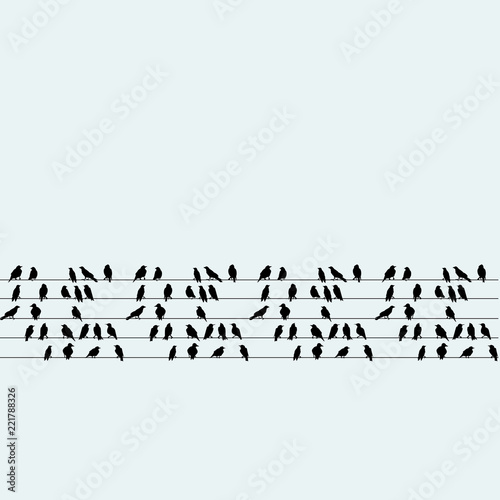 Group of birds sitting on wires