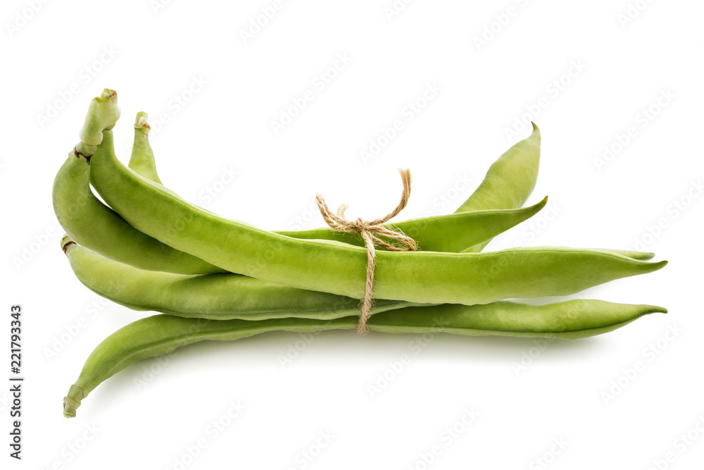 Vicia faba Vicia faba