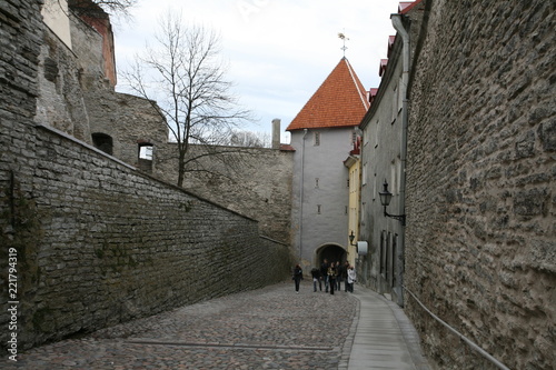 The City of Tallinn, Estonia. You can see the red shingle roofs all over the Dowtown towers and buildings. It's  like a trademark of this old Hanseatic city.  12.04.2008.
